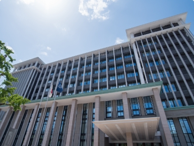 Government Agencies and Local Governments